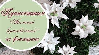 Пуансеттия «Молочай красивейший» из фоамирана / Foamiran poinsettia tutorial