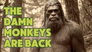 Bigfoot at Bumping Lake | New 2024 Documentary | Audio Files