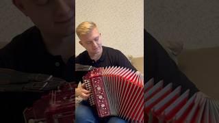Казачий романс️ #гармонь #баян #гармонист #баянист #folk #folkmusic #топ #музыка #music