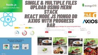 Complete File Upload Using MERN Stack || Reactjs Nodejs Expressjs Multer  Mongodb with Progress Bar