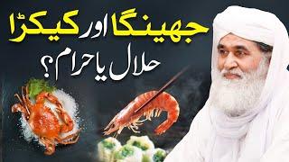 Kia Jheenga (Prawns) Khana Jaiz Hai? | Kiya Kekra Halal Hai? | Maulana Ilyas Qadri | Crab Soup