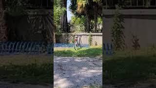 Villa Chiozza - ERSA - PromoTurismoFVG Scodovacca UD Italy