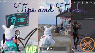 Tips And Tricks (Pubg Mobile) Traverse - Insectoid Guide/Tutorial