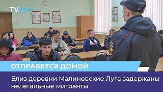 Близ деревни Малиновские Луга задержаны нелегальные мигранты