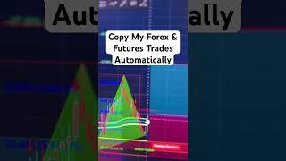 Copy My Forex And Futures Trades Automatically To Your Account Hands FREE #takeprofittrader #futures
