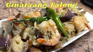 Eggplant with Coconut Milk || Spicy Ginataang Talong with Shrimp and Smoked Fish / Tinapa