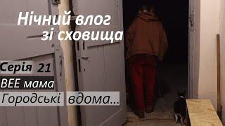 Серія 21 / Нічний влог / Бомблять з літаків / забрала кицьку і маму / ми у сховищі