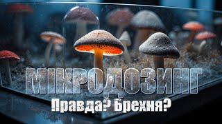 Мікродозинг психоделіками, або найбільша брехня 21 століття