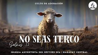 No seas terco - Culto de Adoración - Por el Pr. Lenny Hernández