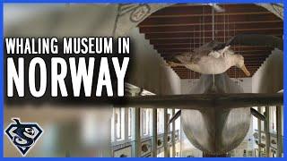 Hvalfangstmuseet: Skaana Visits the Whaling Museum in Sandefjord, Norway