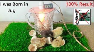 I was born in Jug - How to make Egg incubator at home without Temperature controller | Egg Hatching