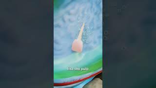 I Accidentally Swallowed a Tooth! what happen
