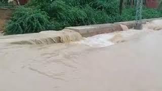 wahowa city flood |Flood In Taunsa | flood in dgk | flood in Mangla Wali | flood in Mangrotha