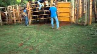 mateus vs vendaval