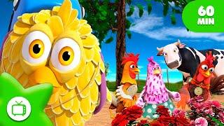 Dónde Está el Pollito?  Canción de la Granja  +Canciones Infantiles | La Granja de Zenón