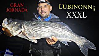 PICADONN¡¡ AL VIVO, SURFCASTING EN PIEDRA...SURFCASTING GRANADA