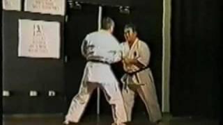 Higaonna Sensei & Sensei Lambert 1996 IOGKF demo