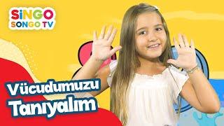 VÜCUDUMUZU TANIYALIM  – SİNGOSONGO TV I ÇOCUK ŞARKILARI 