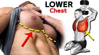 BEST LOWER CHEST Exercises ( Very effective )