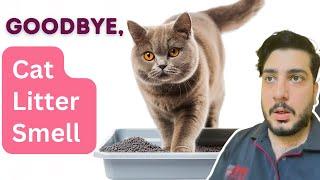 Say Goodbye To Cat Litter Smells With These 5 Pro Tips! Keep Your Litter Box Fresh And Clean