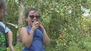 Chazy Orchards celebrating 100 years