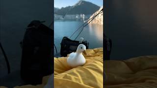 My pet duck Adam first swim #shorts