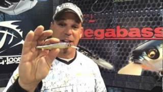 MEGABASS Vision 110 Plus 1 with JP De Rose and IBASSIN.mov