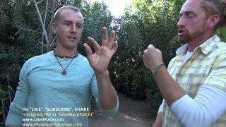 Jake Mace Garden Tour of Shamus O'Leary's Tropical Fruit Trees