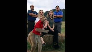 Guess what happens at Aloha Insurance. Auto insurance home insurance insurance￼ near me