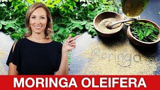 10 Health Benefits of Moringa Oleifera | Dr. Janine