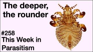TWiP 258: The deeper, the rounder