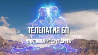 ТЕЛЕПАТИЯ БП ЧУВСТВОВАНИЕ ДРУГ ДРУГА#телепатическаясвязь #близнецовыепламена