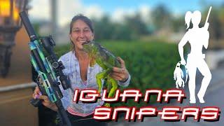 Iguana Snipers: Rooftop Iguana Hunting