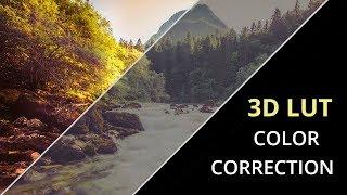 3D LUT Color Correction Tutorial