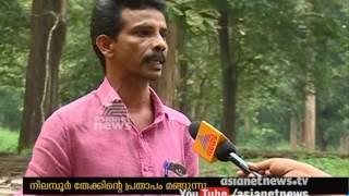 Nilambur Teak |നിലമ്പൂര്‍ തേക്കിന്‍റെ പ്രതാപകാലം മങ്ങുന്നു