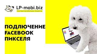 Установка пикселя Facebook на лендинг LP-MOBI