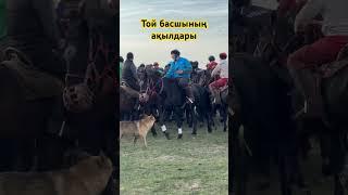 Той басшының айтып жатқан ақылы#Шқо көкпар