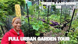 FULL Urban Garden Tour (Week 4 - 2025) | Virginia, Zone 7B (I Wish I Had Known)