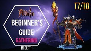 Albion Online | In depth gathering guide as T7/T8 gatherer