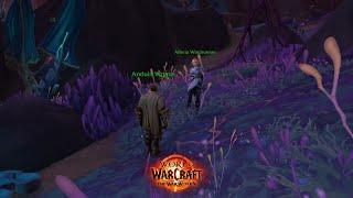 Alleria Anduin Dialogue About Void | WoW TWW