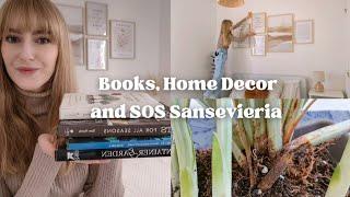 New Gardening Books , Home Decor ️ and Saving my Rotting Sansevieria 