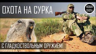 ОХОТА НА СУРКА С ГЛАДКОСТВОЛОМ - ТОЗ-34 РУЛИТ!