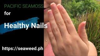 Seaweed for Naturally Healthy Nails - Pacific Seamoss by Biosea Health