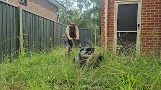 Neighbours Have Been REPORTING This Overgrown Lawn HAZARD to the CITY | We Mowed It For FREE