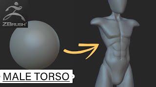 Zbrush Stylized Male Torso Speedsculpt Tutorial