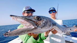 BIGGEST Kingfish I've EVER Seen while Barracuda Fishing!!