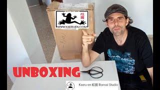 UNBOXING escuela de bonsái online kaeru en  蛙園