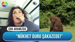 Nükhet Duru, ayı saldırısına uğruyor | Demet Akbağ İle Çok Aramızda