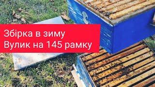 Зимівля бджіл: особливості збирання вулика на 145 рамку