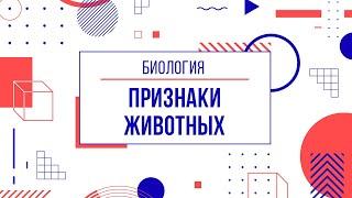 Умная карта 5 признаков животных. Признаки царства животных на интеллект карте